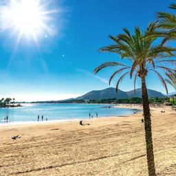 Urlaub Alcudia