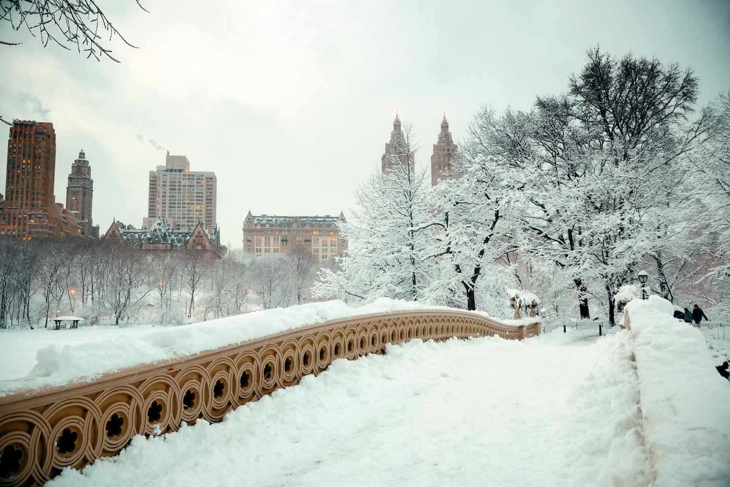 usa-new-york-central-park-im-winter-g-526233343.jpg