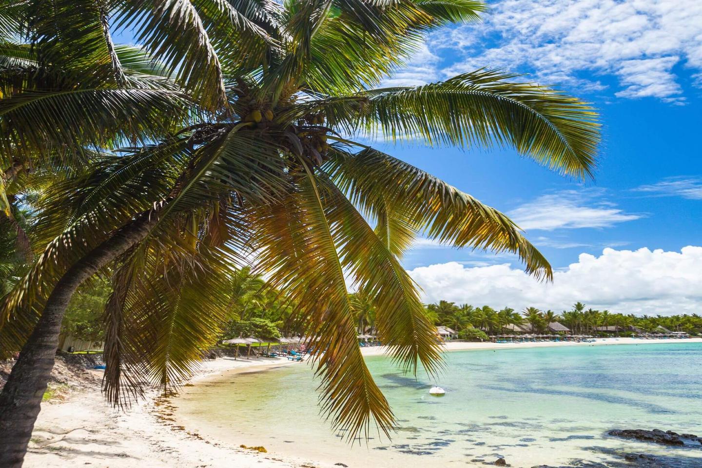 mauritius-strand-g-1081842762.jpg