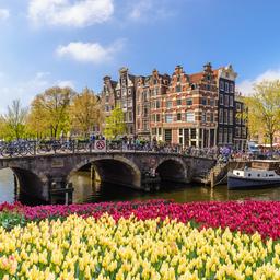 niederlande-amsterdam-tulpen-kanal-bruecke-g-925620364.jpg