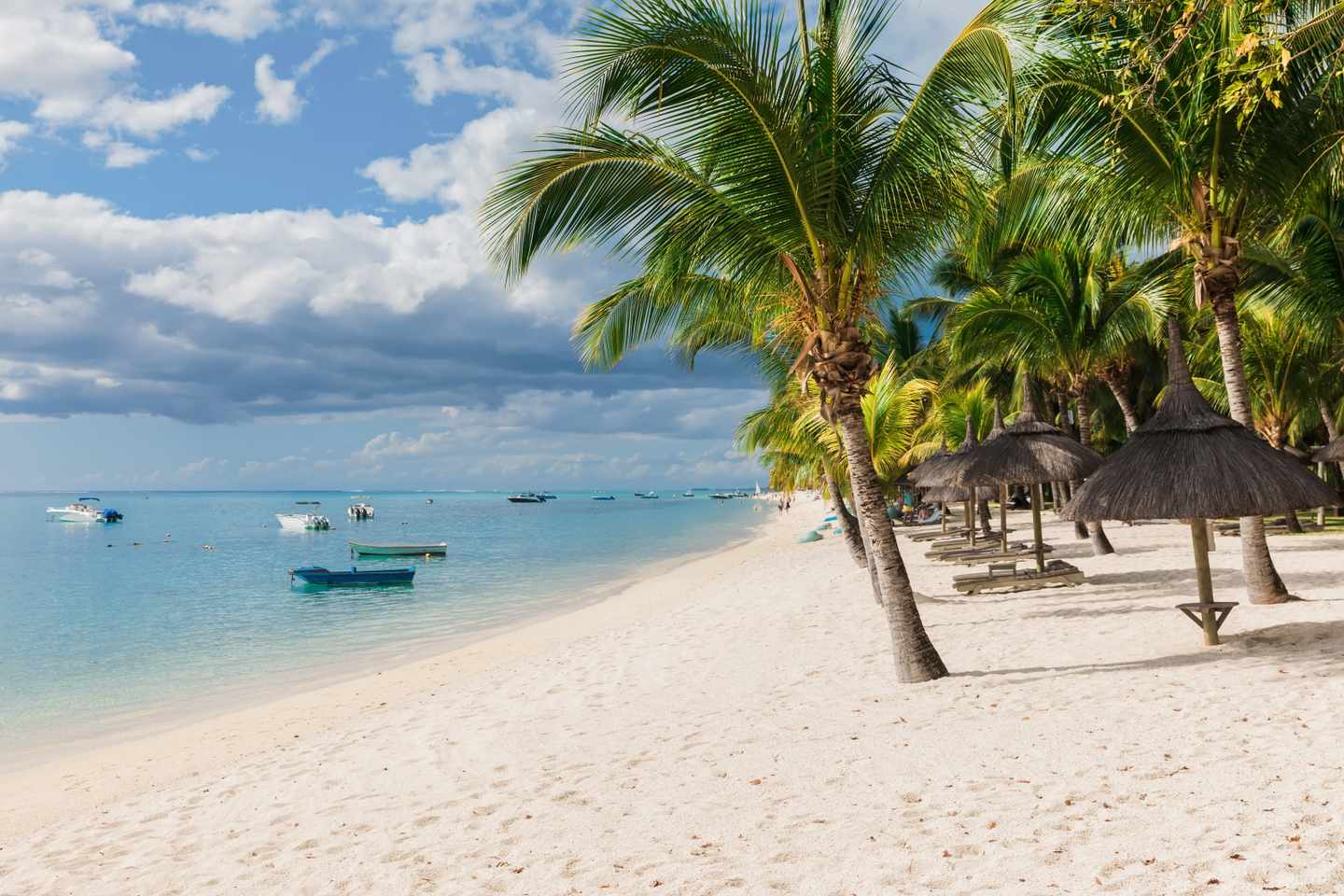 mauritius-insel-strand-palmen-g-1415168139.jpg