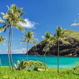 Hotel Oahu