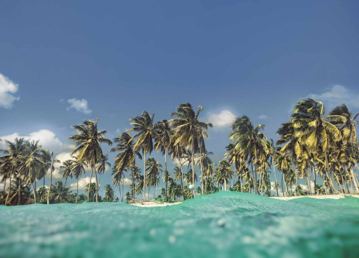 Erwachsenenhotels Punta Cana: Strand
