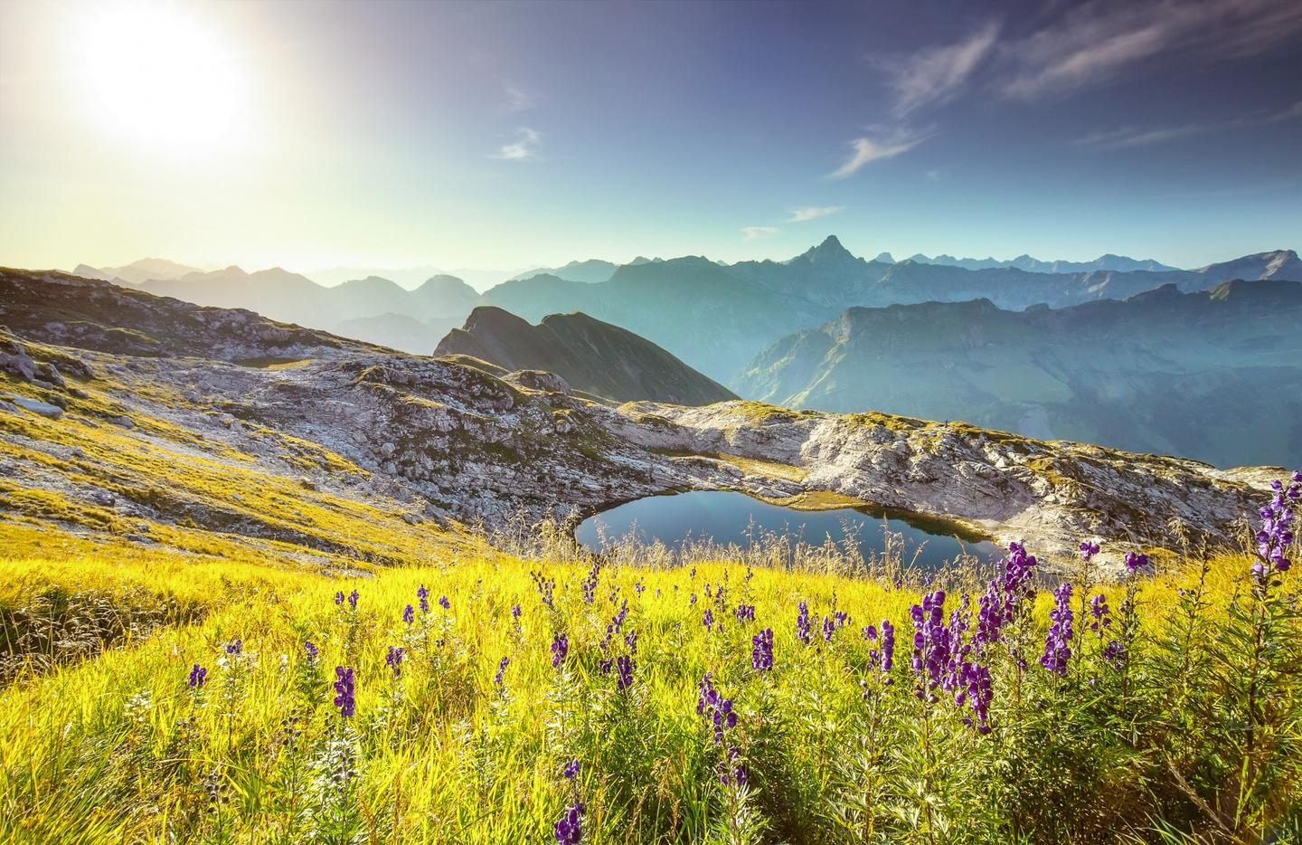 bltba929661d8e6a82d-deutschland-bayern-allgeau-alpensee-wildblumen-g-845566230.jpg deutschland-bayern-allgeau-alpensee-wildblumen-g-845566230.jpg