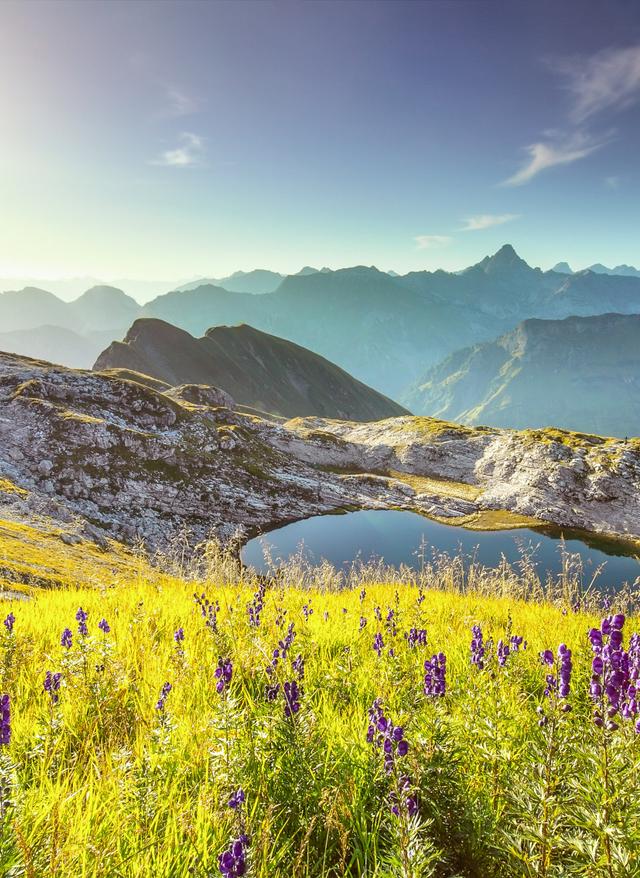 Magische Orte im Allgäu deutschland-bayern-allgeau-alpensee-wildblumen-g-845566230.jpg