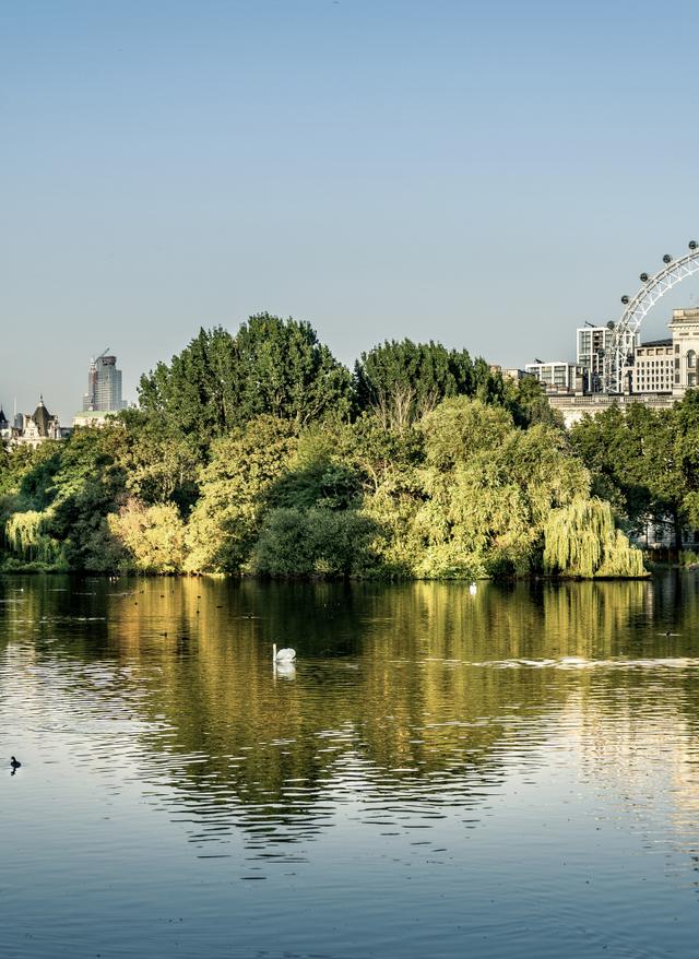 England Urlaub mit DERTOUR. St. James Park in London