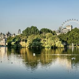 england-london-st-james-park-g-1171402302_bearbeitet.jpg