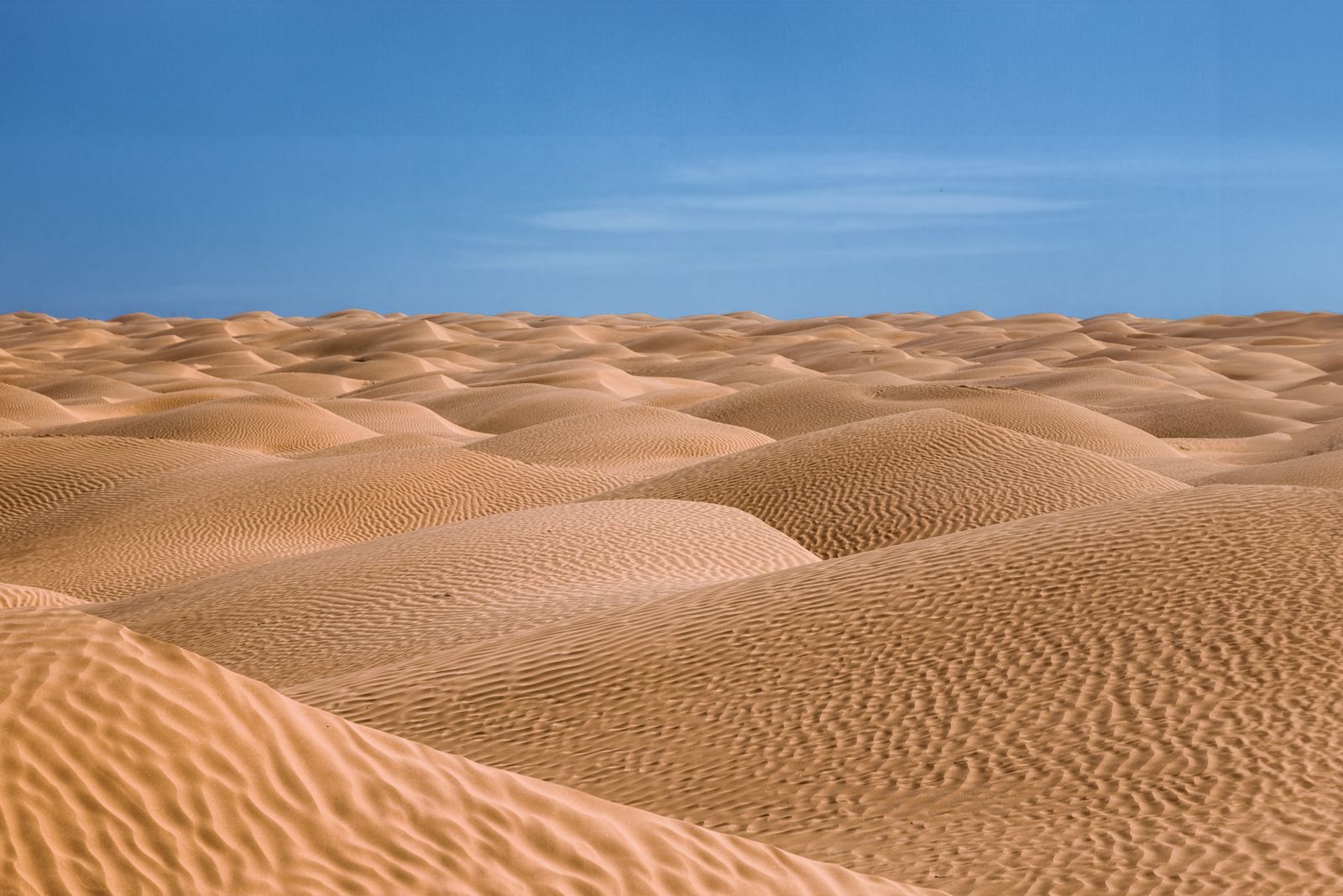 Tunesien Wüste: ein Meer von Sand-Dünen