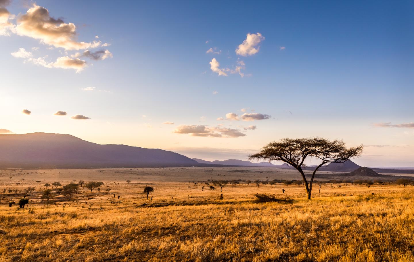 afrika-sonnnenuntergang-savanne-g-1140829787.jpg