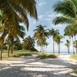 Kuba-Varadero-Weg-zum-Strand-g-1200967223.jpg