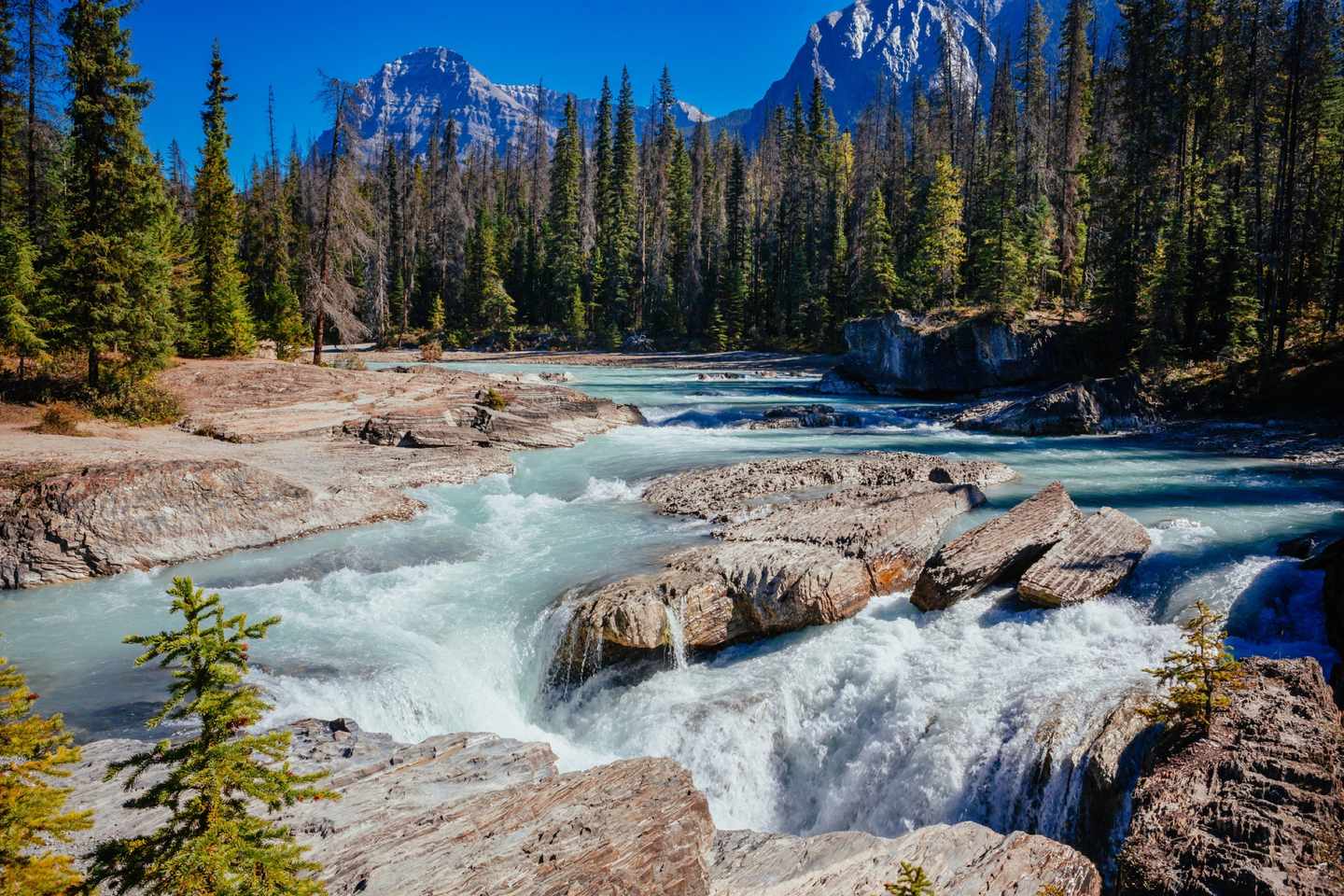 kanada-alberta-yoho-nationalpark-t-538560900.jpg