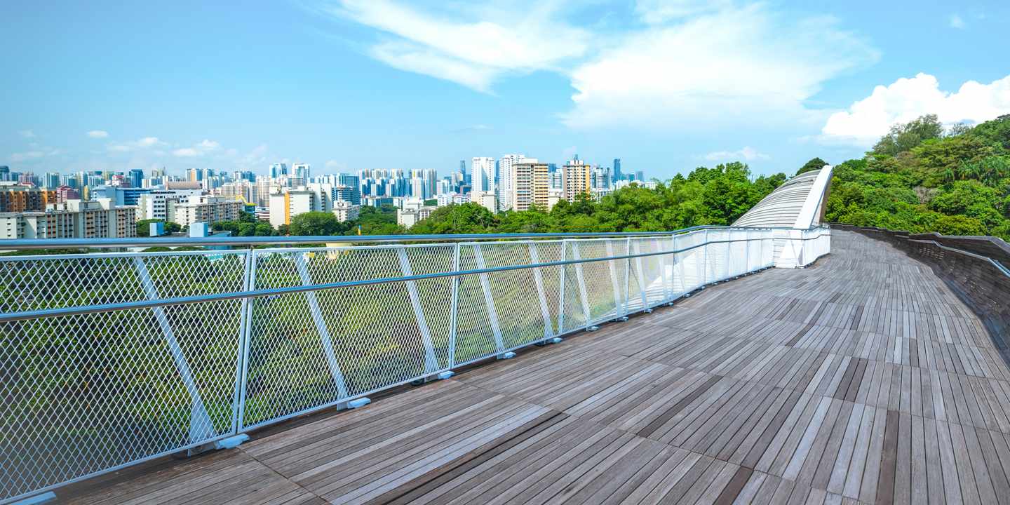 singapur-henderson-wellenbruecke-skyline-g-11140152099.jpg