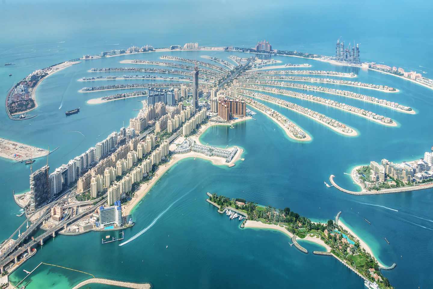 vae-dubai-the-palm-jumeirah-g-1097789900.jpg