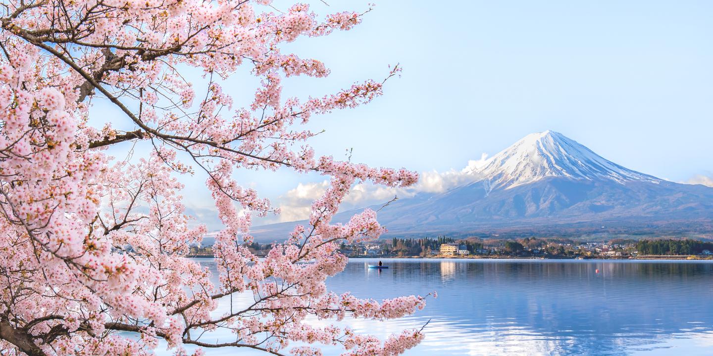 bltaad03ee6dffdaf3c-japan-fuji-kirschbl_te-g-1060517676.jpg japan-fuji-kirschblüte-g-1060517676.jpg