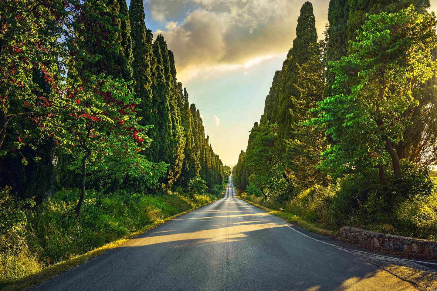 italien-hero-roadtrip-bolgheri-berühmten-zypressen-baum-gerade-boulevard-auf-den-sonnenuntergang-mar-g-637762748.jpg