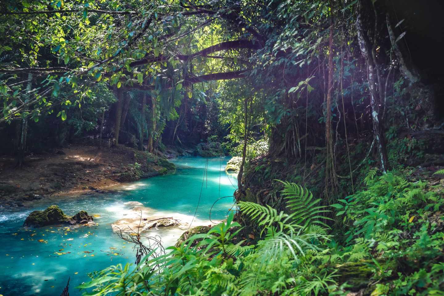 karibik-jamaika-blue-hole-ochos-rios-g-1342088682.jpg