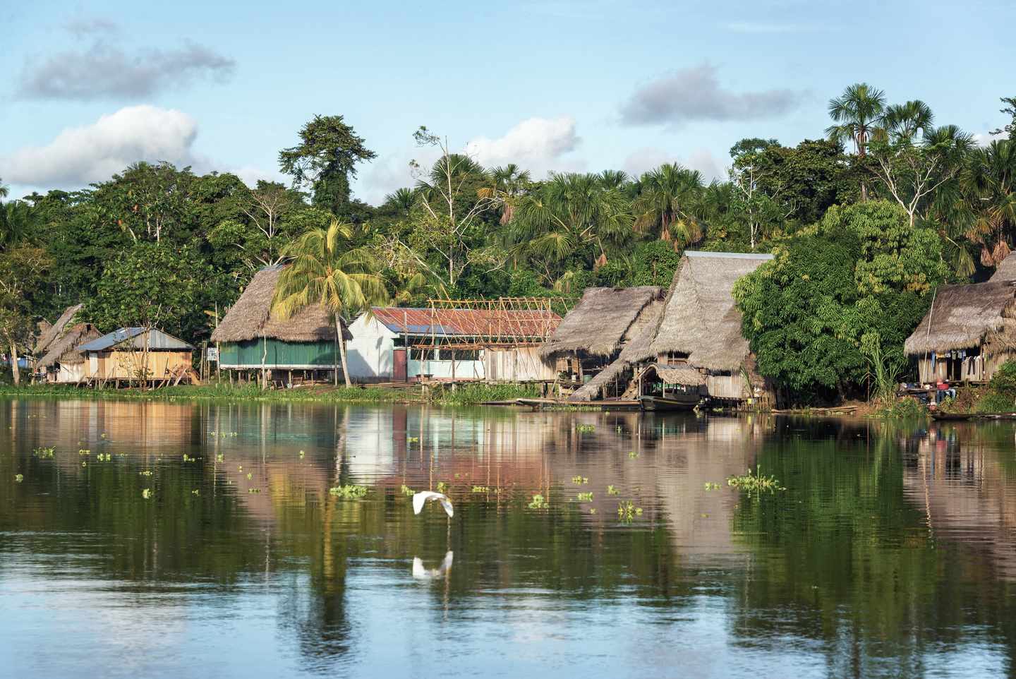 blt56de1924db46f807-Peru-Amazonas-Urwald-Village-g-490998888.jpg Dorf im peruanischen Urwald