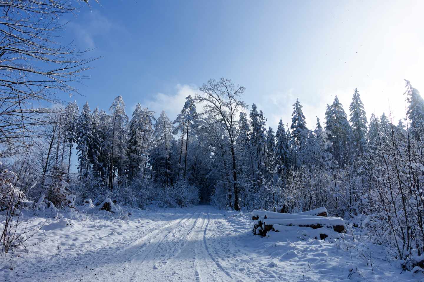 deutschland-bayern-bayerischer-wald-im-schnee-g-1939534752.jpg