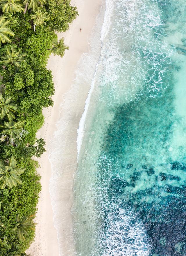 Seychellen oder Mauritius