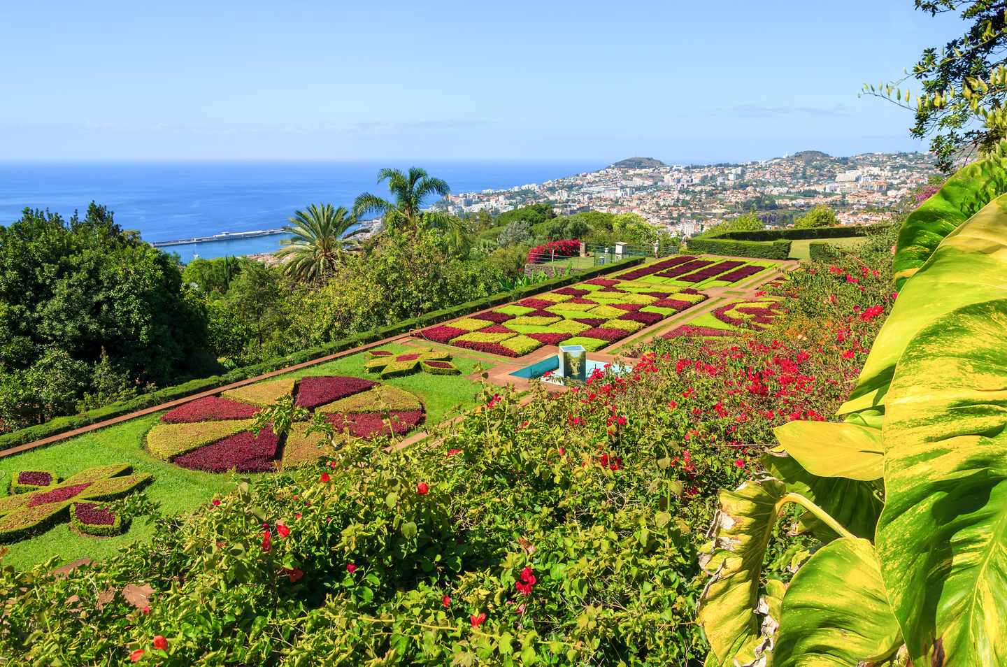 portugal-madeira-funchal-tropische-gaerten-g-905425852.jpg