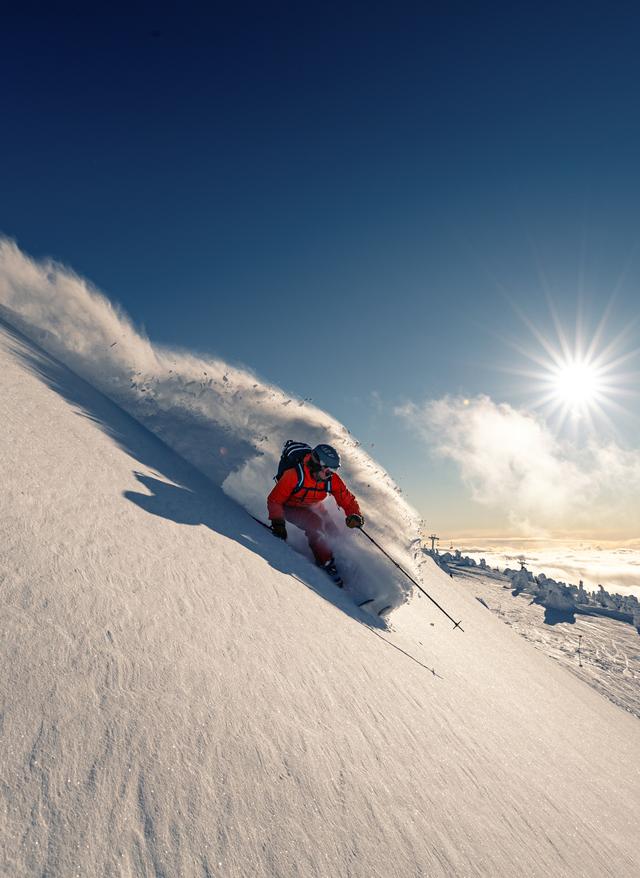 Skiurlaub kanada-skifahrer-sonne-g-1269989915-2.jpg