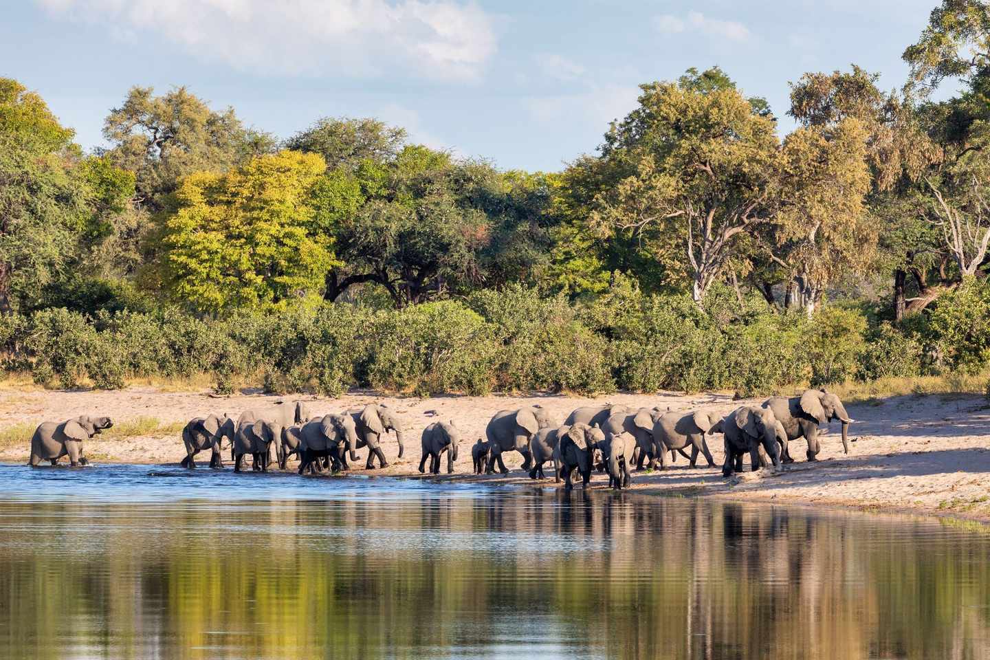 Namibia-Wasser-Elefanten-Dertour-g-1173197627.jpg