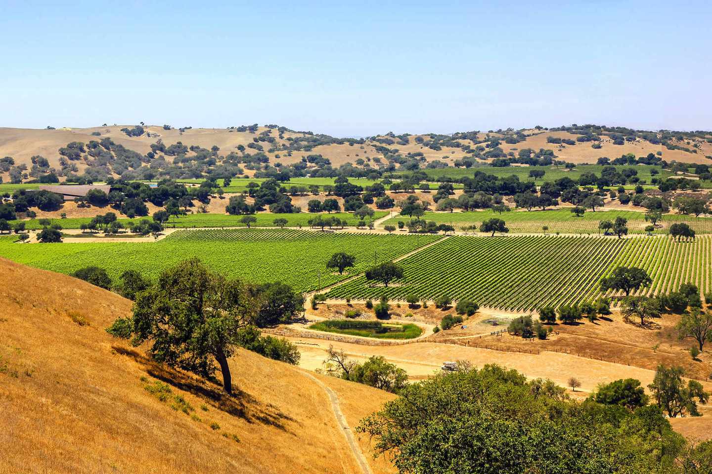 usa-kalifornien-santa-barbara-panoramanlick-vom-foxen-canyon-g-504903204.jpg