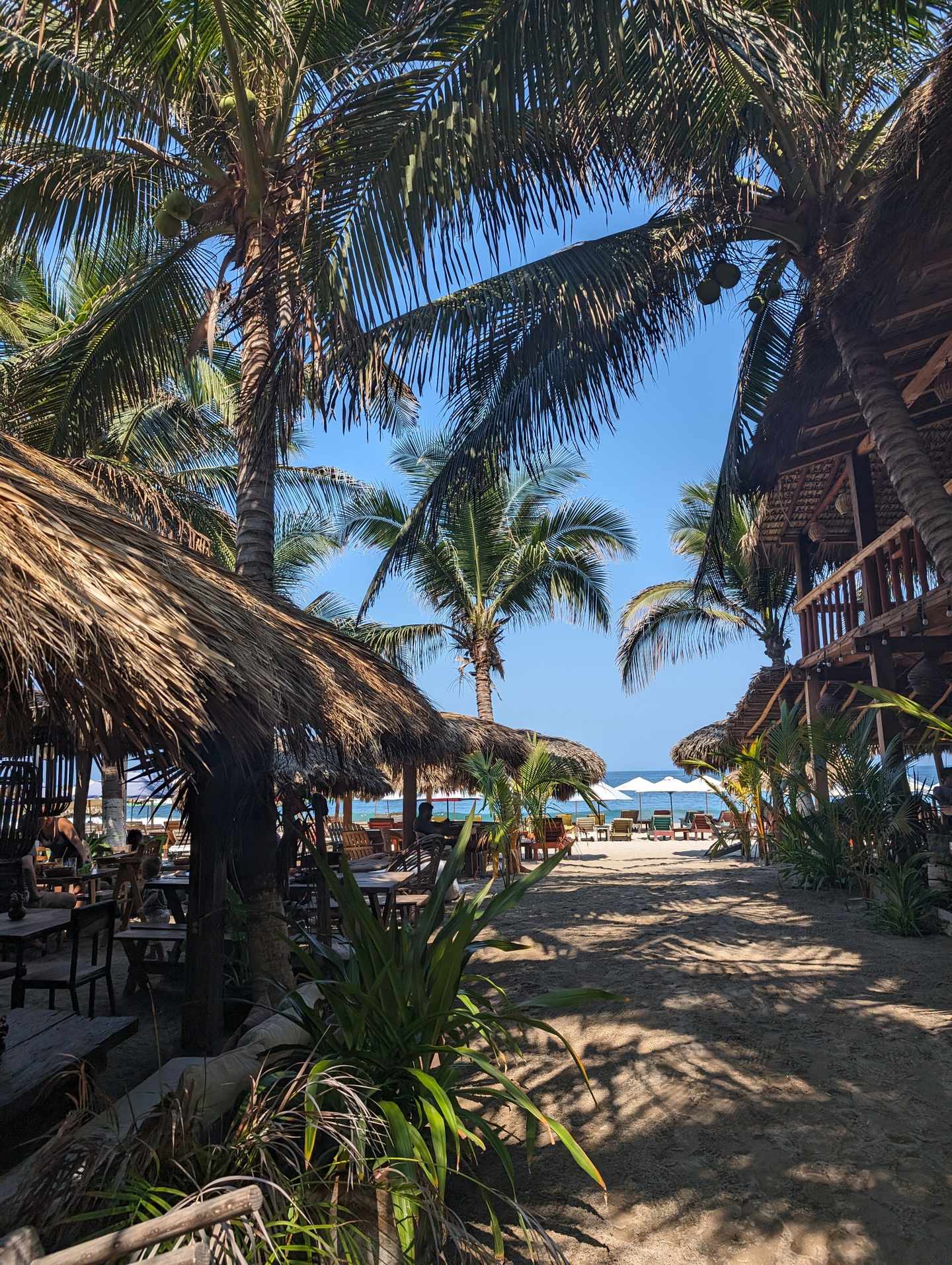 bltb39d52899270aebd-PXL_20240429_162236893.MP.jpg Puerto Escondido