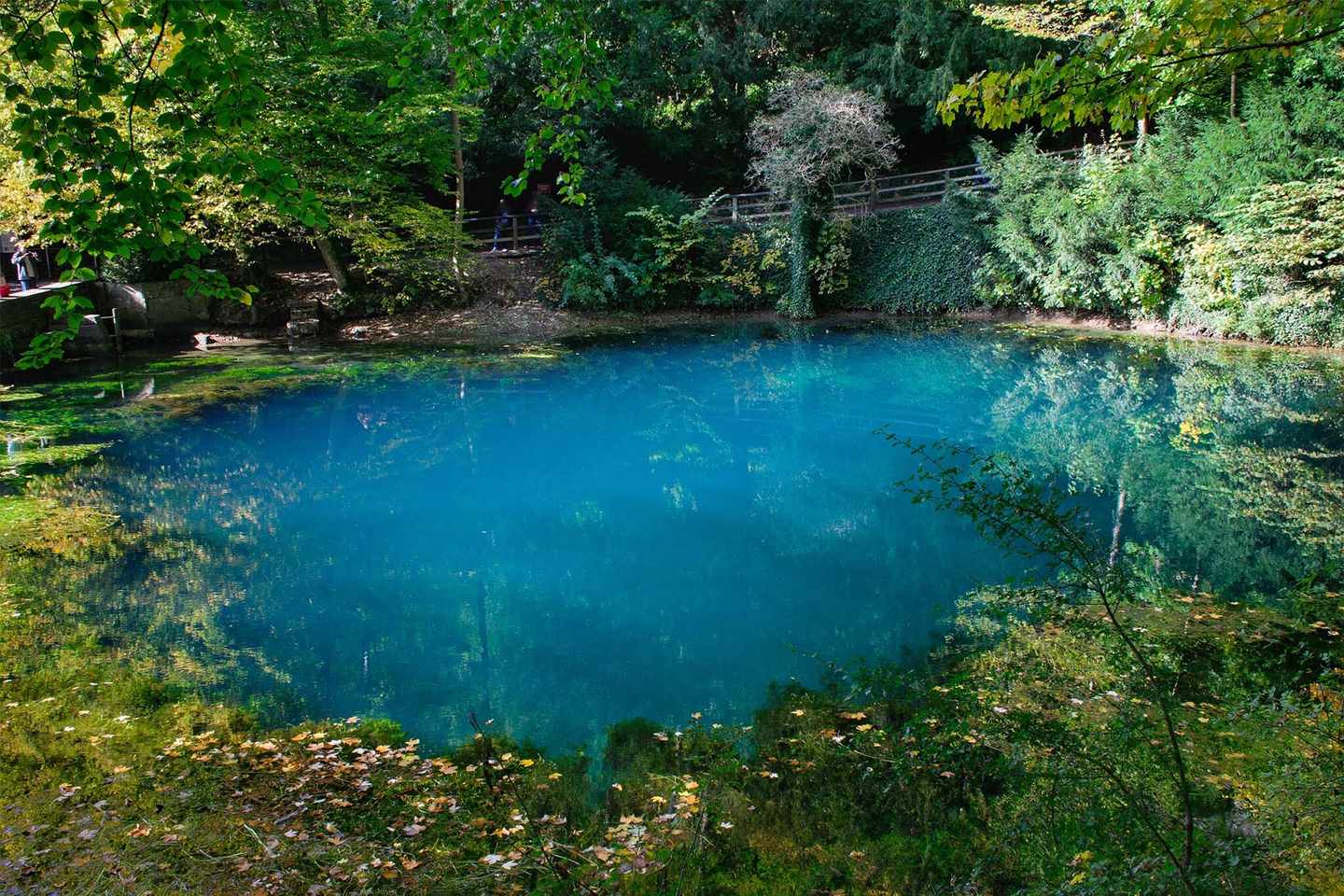 blt8ee40c88208bed60-deutschland-ulm-blautopf-see-im-wald-g-1280214984.jpg Deutschland Ulm Blautopf See im Wald