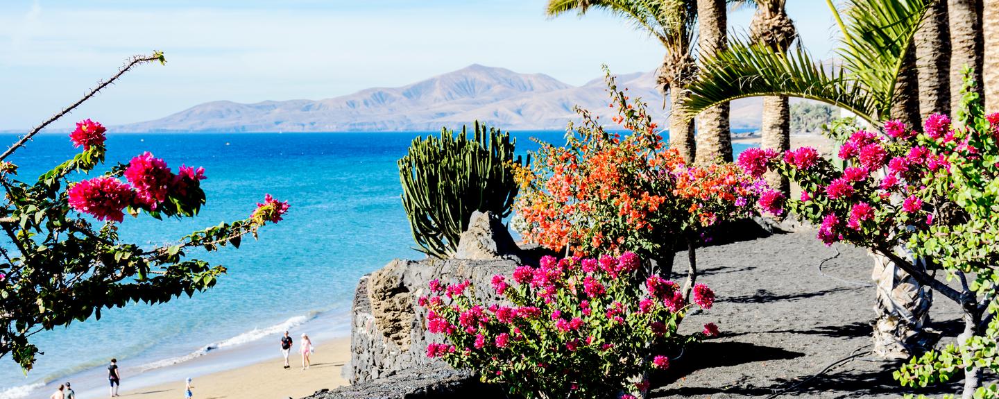 spanien-kanaren-lanzarote-g-1390935219.jpg