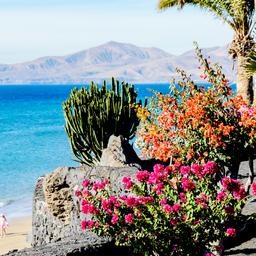 Urlaub Lanzarote