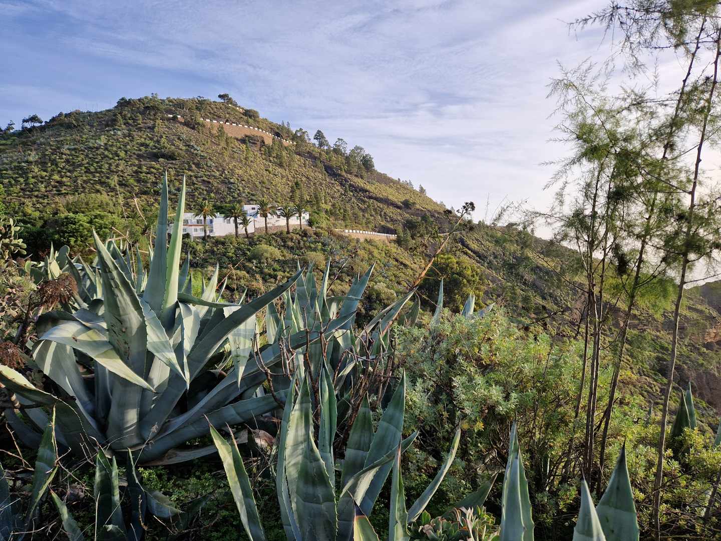 spanien-kanaren-gran-canaria-pico-de-bandama-g-2018251471.jpg