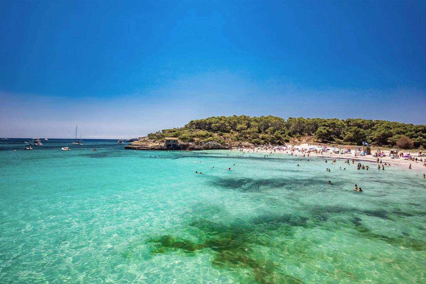spanien-mallorca-parc-natural-sueden-meer-mit-strand-cala-mondrago-g-1279491497.jpg
