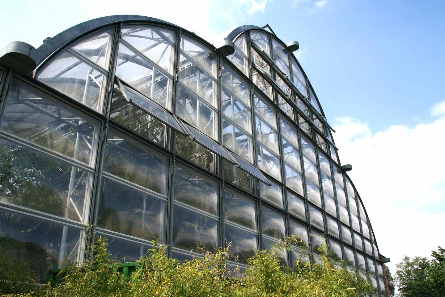 deutschland-bodensee-die-drei-schoensten-inseln-palmenhaus-glasfront-von-aussen-g-89467958.jpg