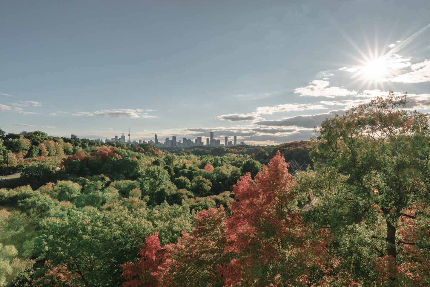 kanada-ontario-toronto-wald-skyline-indian-summer-g-1278799606.jpg