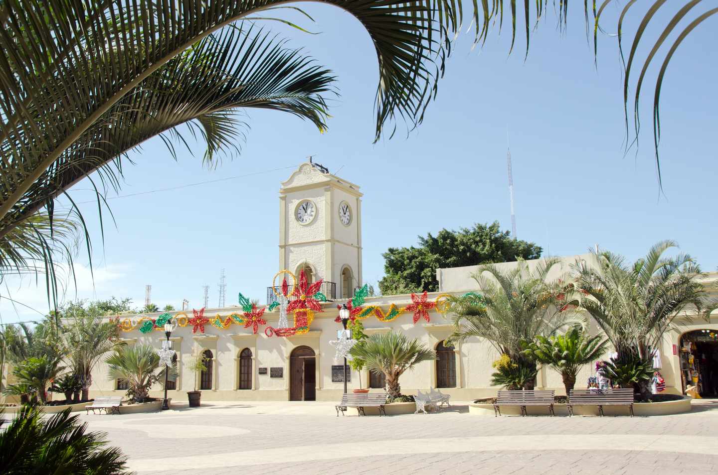 mexico-san-jose-del-cabo-weihnachtsschmuck-g-174968051.jpg