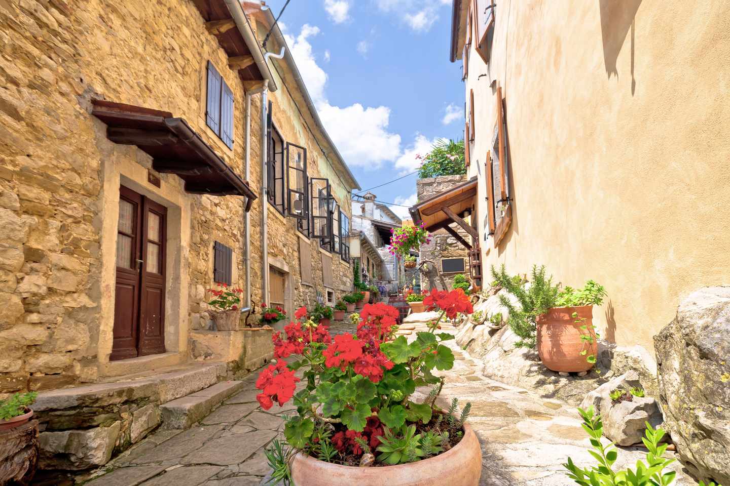 kroatien-istrien-hum-altstadt_straße_mit_blumen-g-1301831264.jpg
