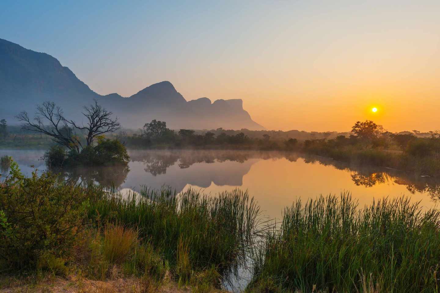 blt17145dc64be82e80-suedafrika-nationalpark-g-956565840.jpg Südafrika Highlights