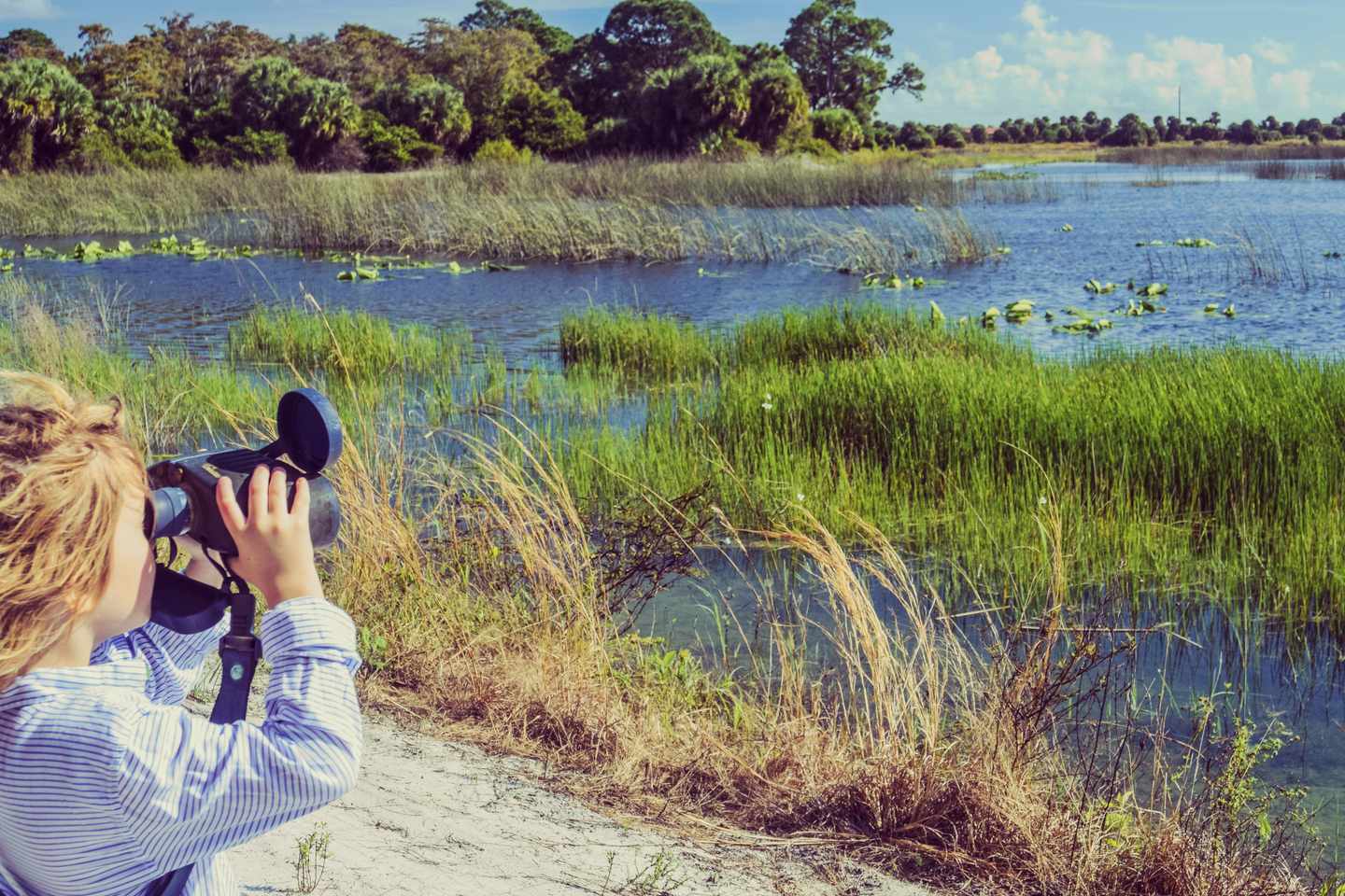 usa-florida-everglades-kind-schaut-durch-fernglas-g-505651092.jpg