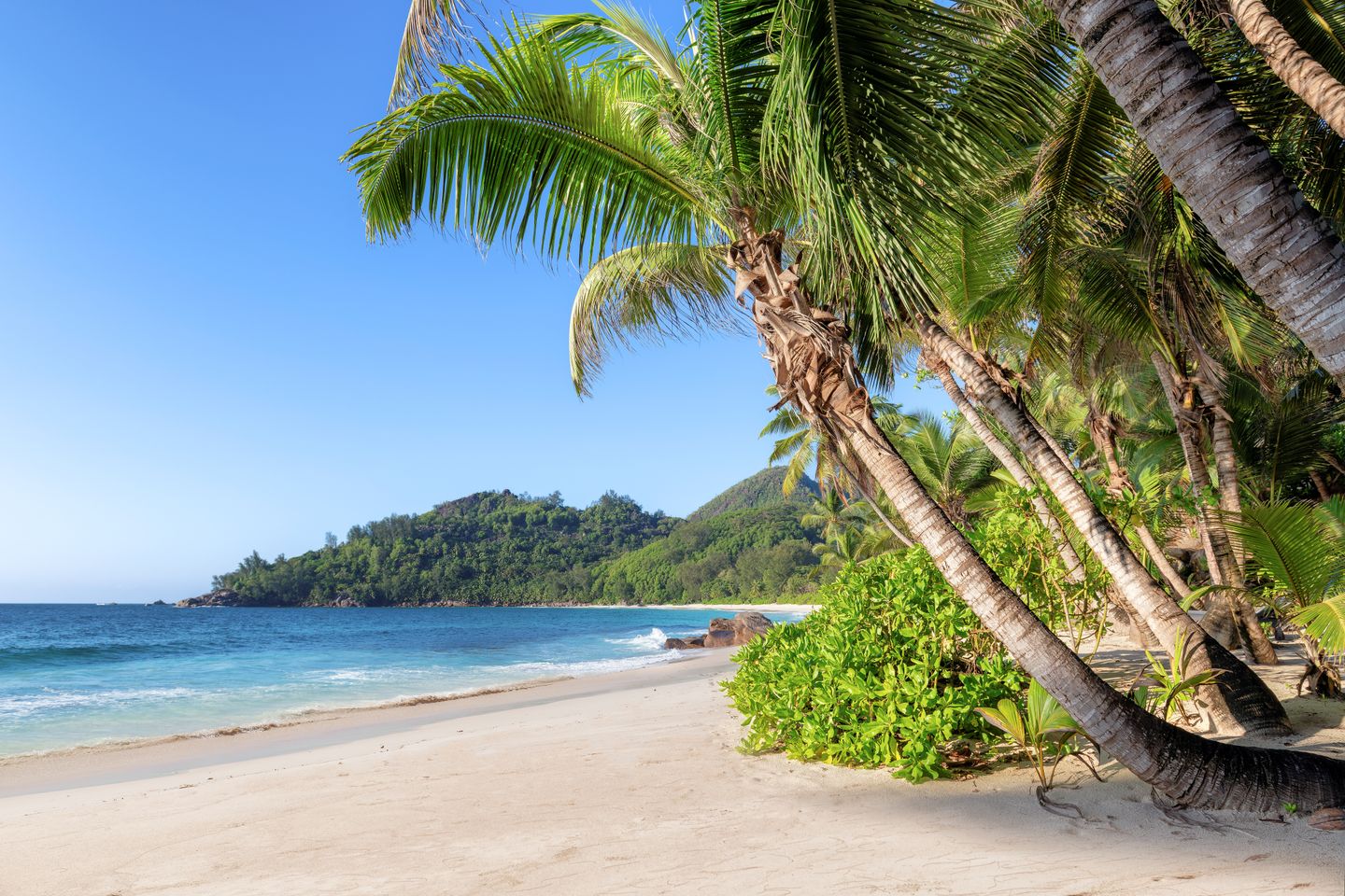 Jamaika-Urlaub: Strand und Palmen am verlassenen Ort