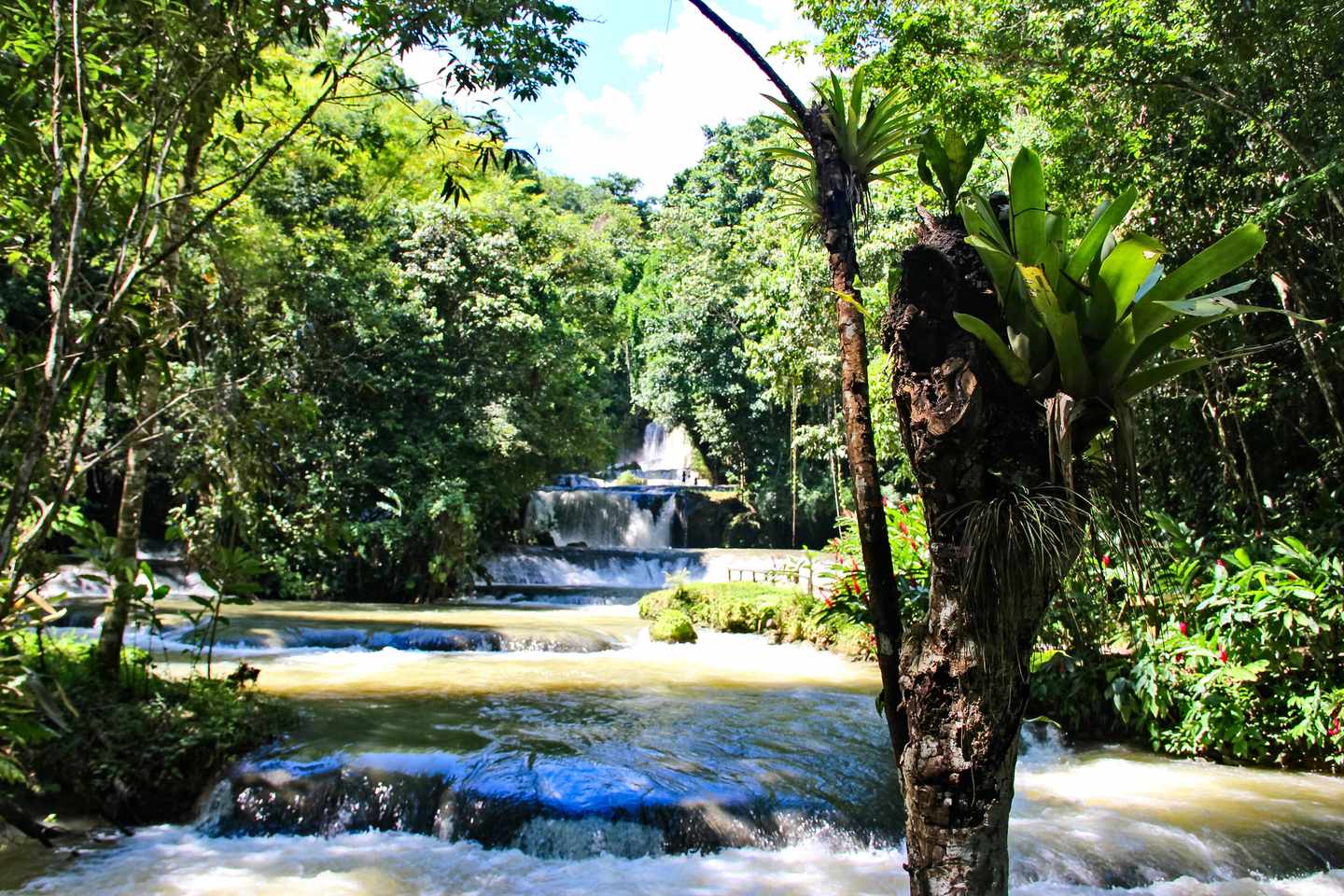 jamaika-wasserfaelle-dunns-river-falls-g-1148869028.jpg
