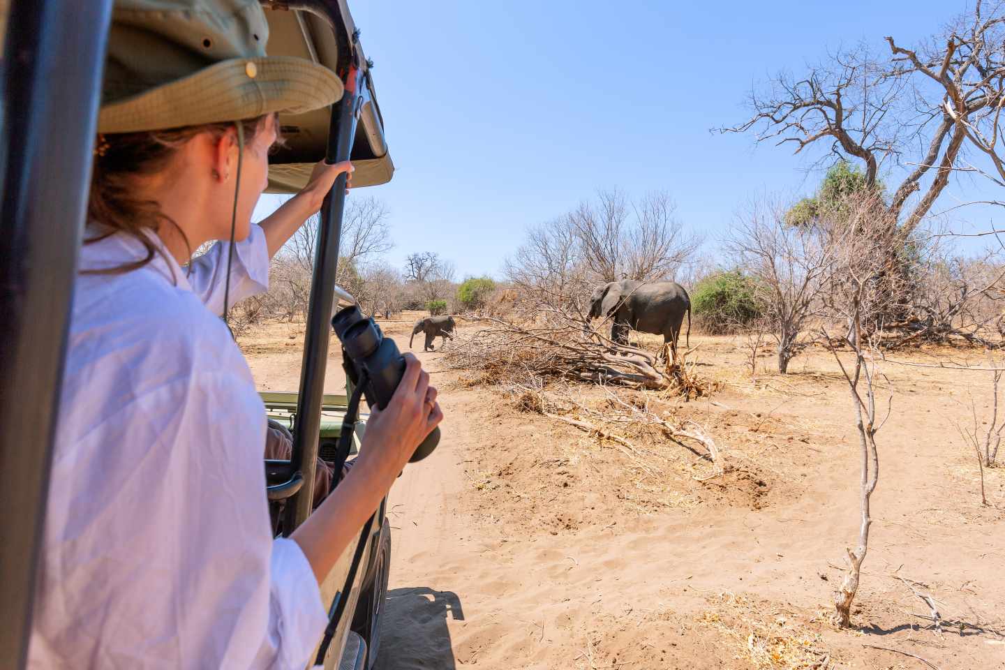 afrika-namibia-safari-jeep-tour-touristin-beobachtet-elefanten-in-freier-wildbahn-g-1805830086.jpg