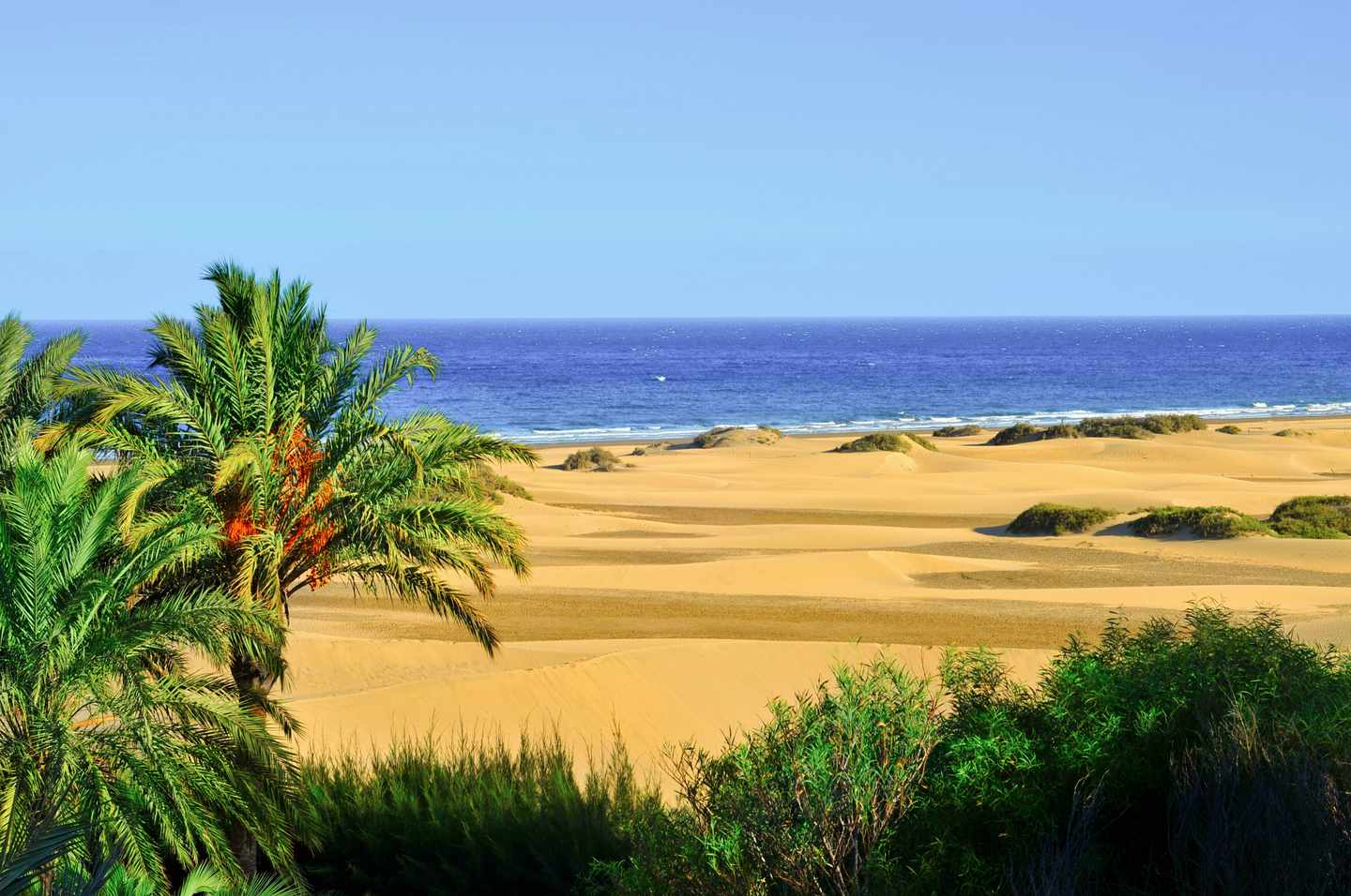 spanien-grancanaria-maspalomas-g-188061054.jpg