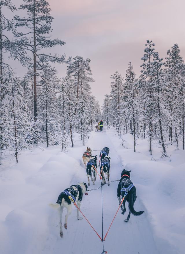 Zu den Angeboten Lappland