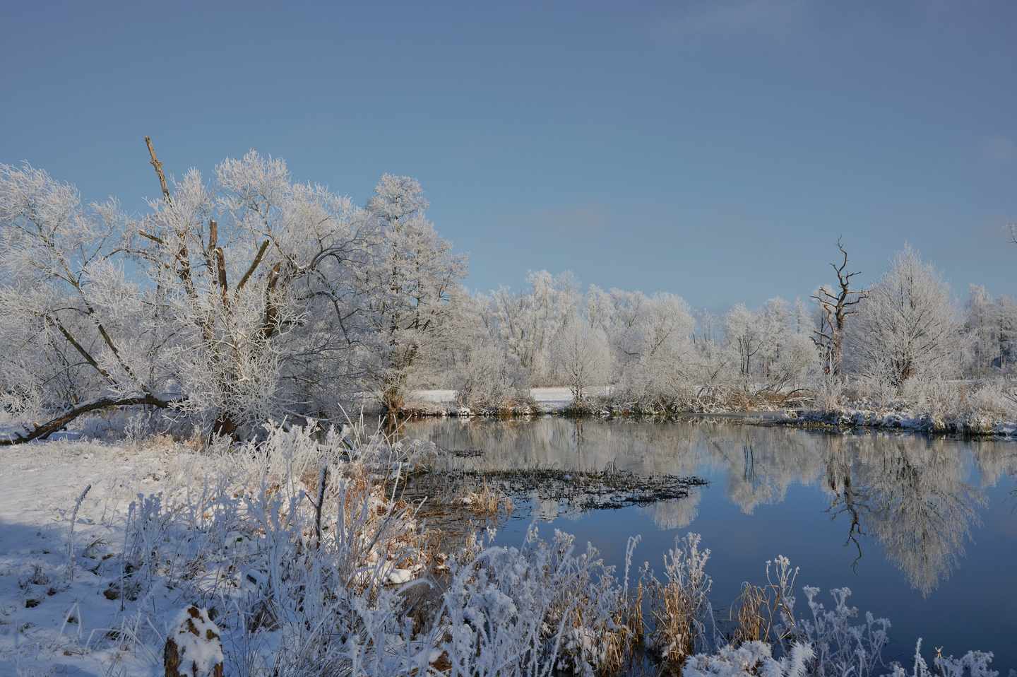 deutschland-brandenburg-spree-winterlandschaft-g-1302111962.jpg