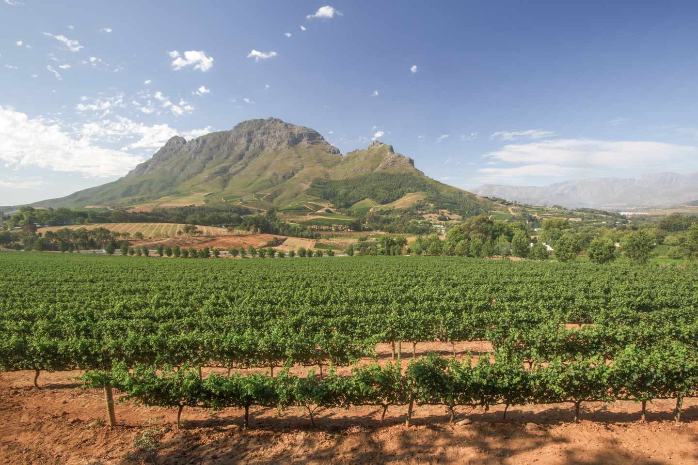 suedafrika-stellenbosch-weingut-g-177835518.jpg