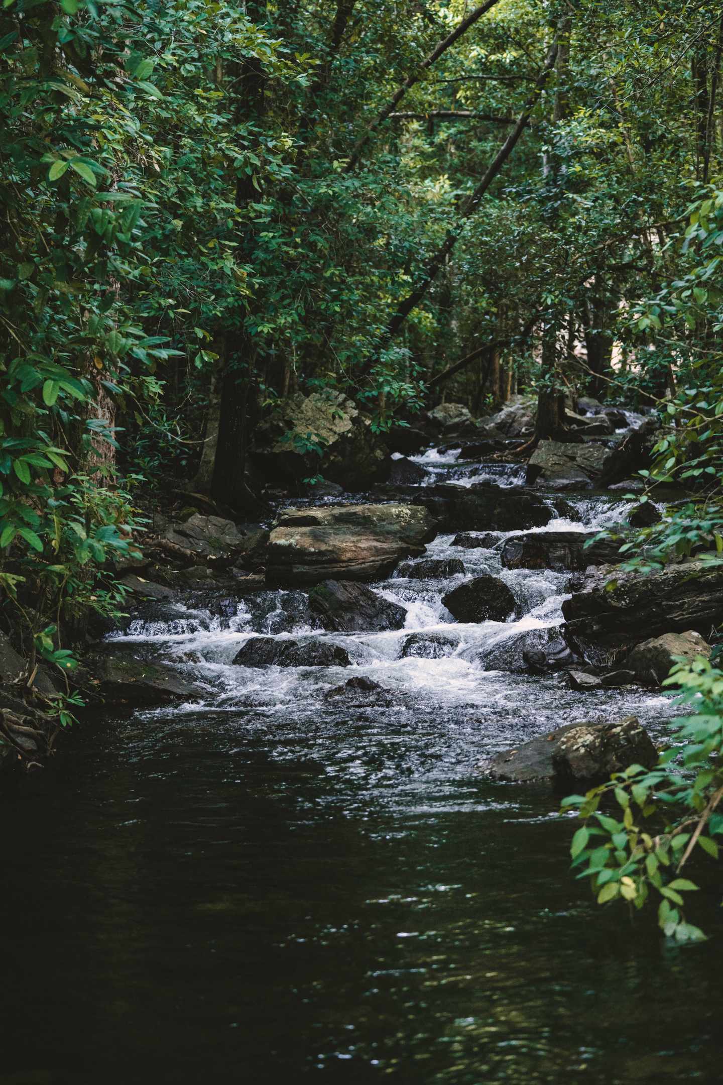 blt3aca23f8edf6dd27-australien-northern-territory-pa-137336-56.jpg Fluss im Top End