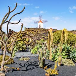 Erwachsenenhotels auf Lanzarote