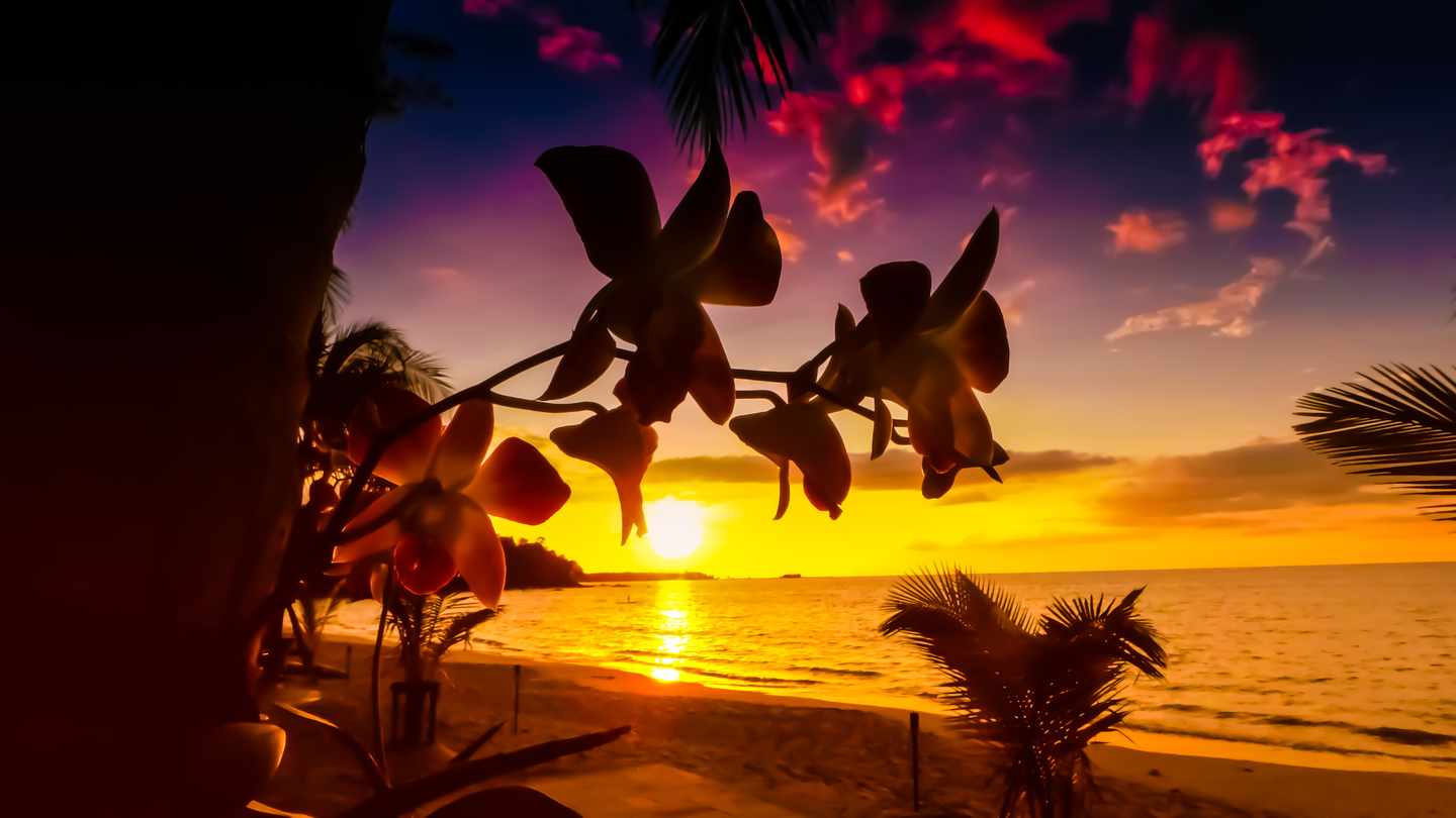 dominica-sonnenuntergang-strand-t-868876448.jpg