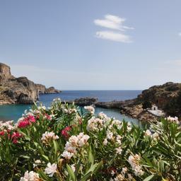 akropolis-lindos-blumen-g-1096156392.jpg